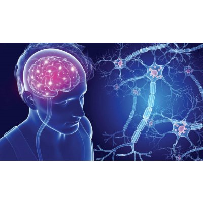 AI Pen Accurately Diagnoses Early Parkinson’s via Handwriting Analysis