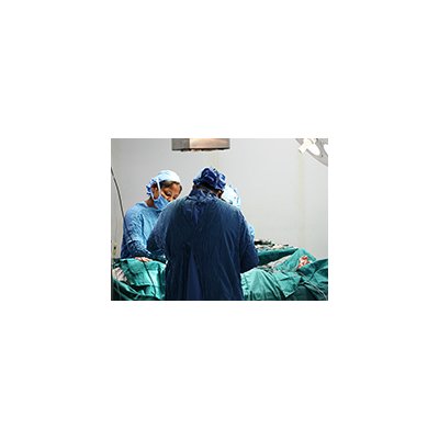 Researchers have solved the problem of organ transplant rejection
